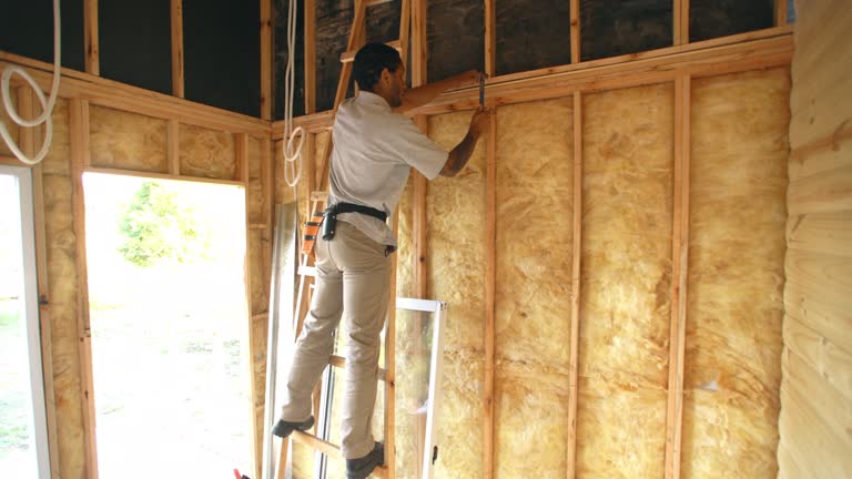 Insulation Air Sealing in Denver, IA